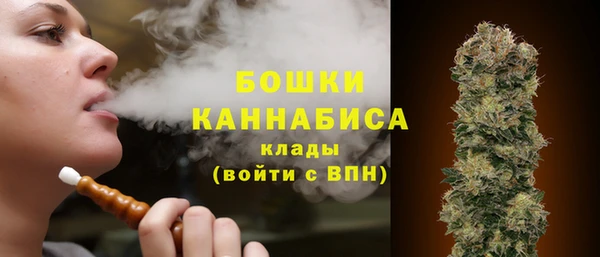 эйфоретик Инсар