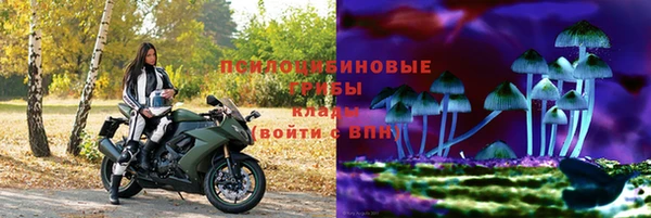 эйфоретик Инсар