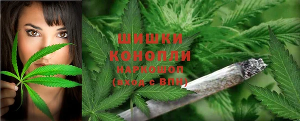 а пвп мука Инта