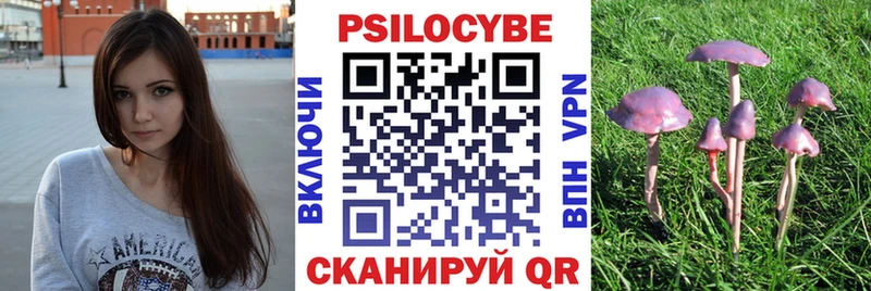 Купить  Невельск  Псилоцибиновые грибы MAGIC MUSHROOMS 